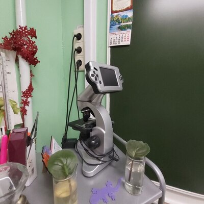 Цифровой микроскоп (кабинет биологии и химии)